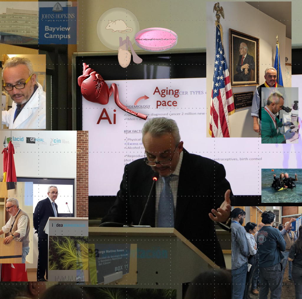 Collage of scientist Dr. Jorge Romero presenting aging research, working in the lab, and speaking at conferences.