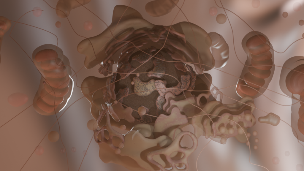 Inside the Body: Aging Science Explained Visually Wher Longevity starts. Cross-section of the interior of a human cell, showing organelles and membrane structures.