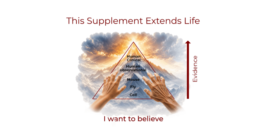 Pyramid of scientific evidence for longevity interventions, illustrating how confidence increases from cell studies and animal experiments to human clinical trials.
